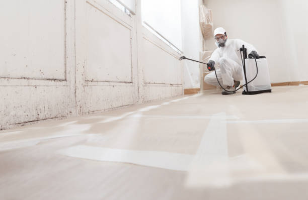 Black mold remediation team in Highspire